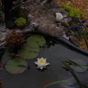 Au Jardin D'eden Poilley (Ille-et-Vilaine)